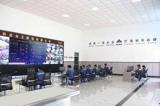 科邁股份大噸位硫化促進劑微化工連續(xù)流技術(shù)開發(fā)成功